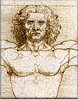 Croquis de Léonard de Vinci, L'homme de Vitruve